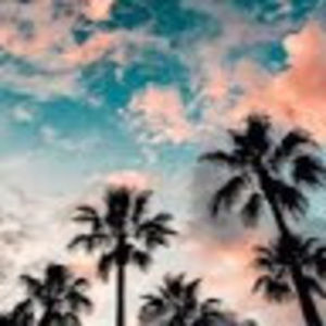 Meet your Posher, Mia